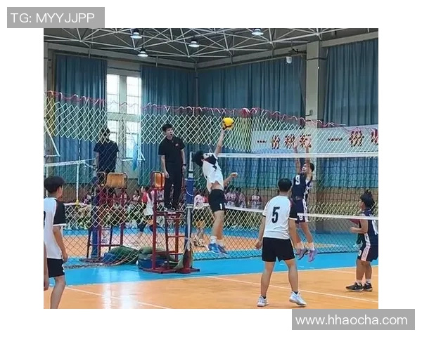 武汉排球队比赛经验的创新与变革引发热议